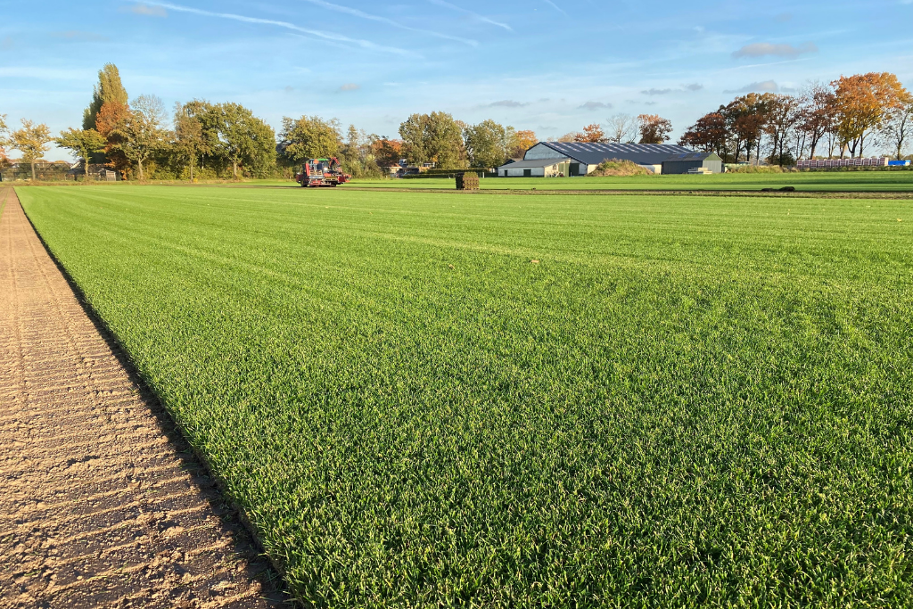 graszoden leggen najaar