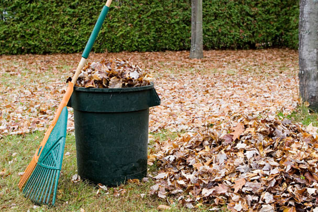 herfstbladeren op gazon