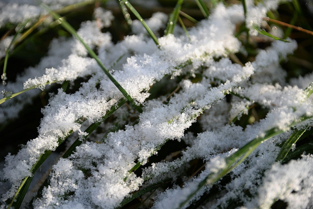 gazon met sneeuw