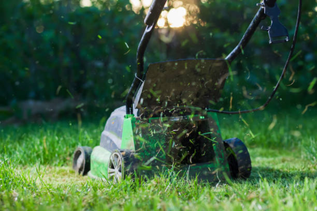 zonnebloem Monetair Vaag Tindemans Graszoden Het gazon maaien | Lees het advies | Tindemans Graszoden