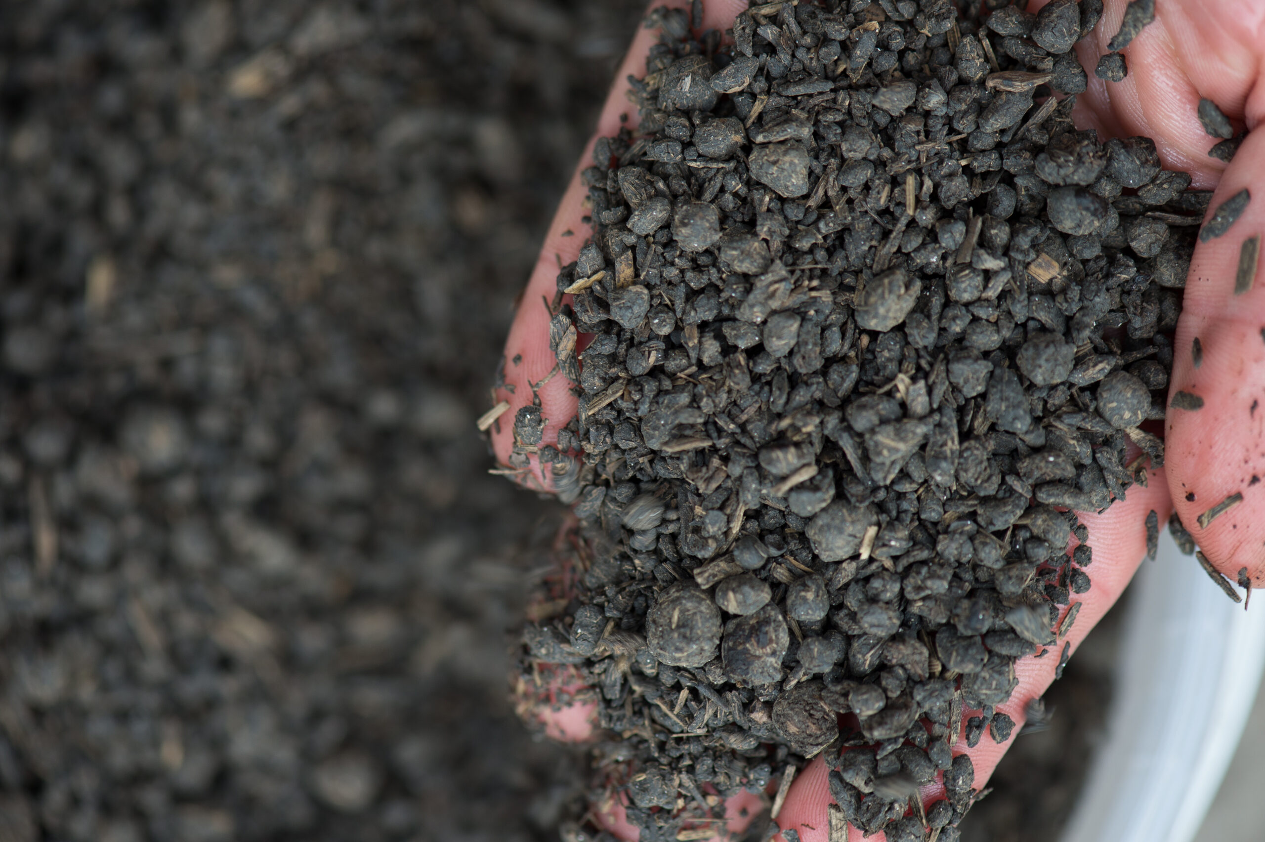 Meststof kiezen voor gazon bemesten | Tindemans Graszoden