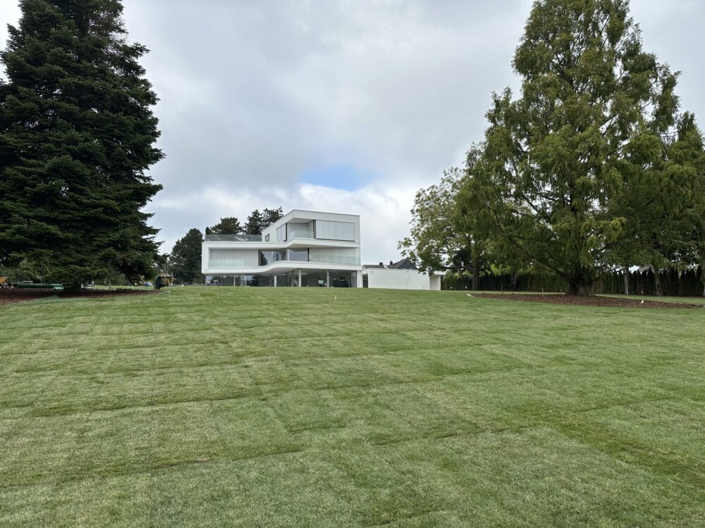 Rollrasen-Dortmund-2-scaled-e1737375844399