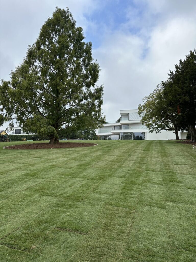 Rollrasen-Dortmund-3-scaled-e1737375859704