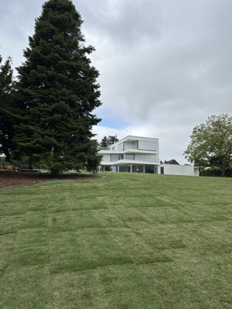 Rollrasen-Dortmund-4-scaled-e1737375874256